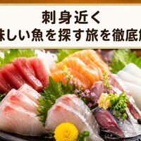 画像11572