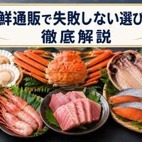 画像11580