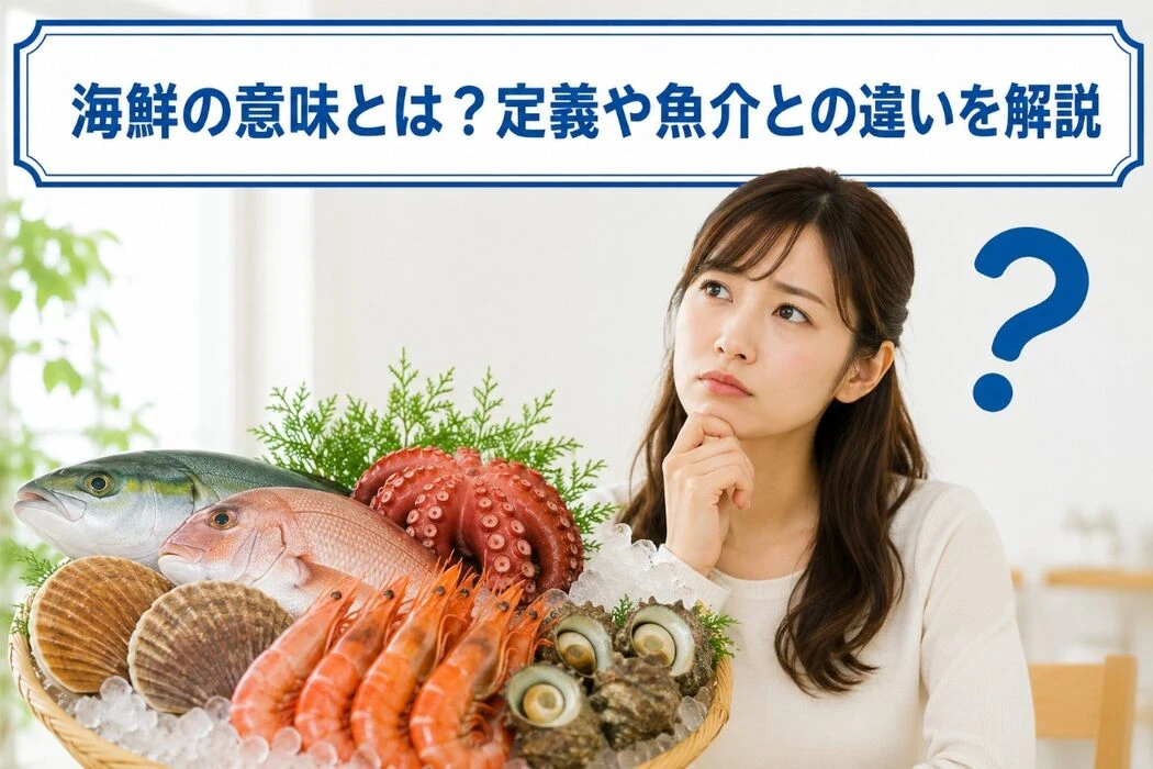 画像11592